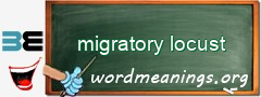 WordMeaning blackboard for migratory locust